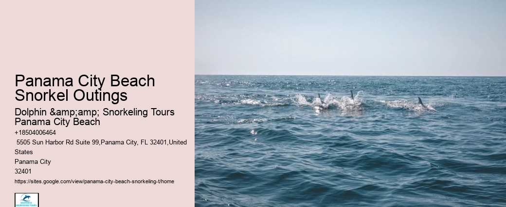 Panama City Beach Snorkel Outings